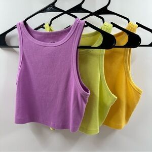 Wild Fable Women's Crop Tops - Yellow, Purple, Green